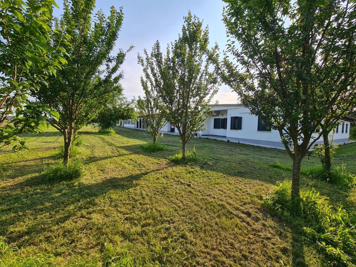 Agriturismo Ca Novak Venezia Spinea Kültér fotó