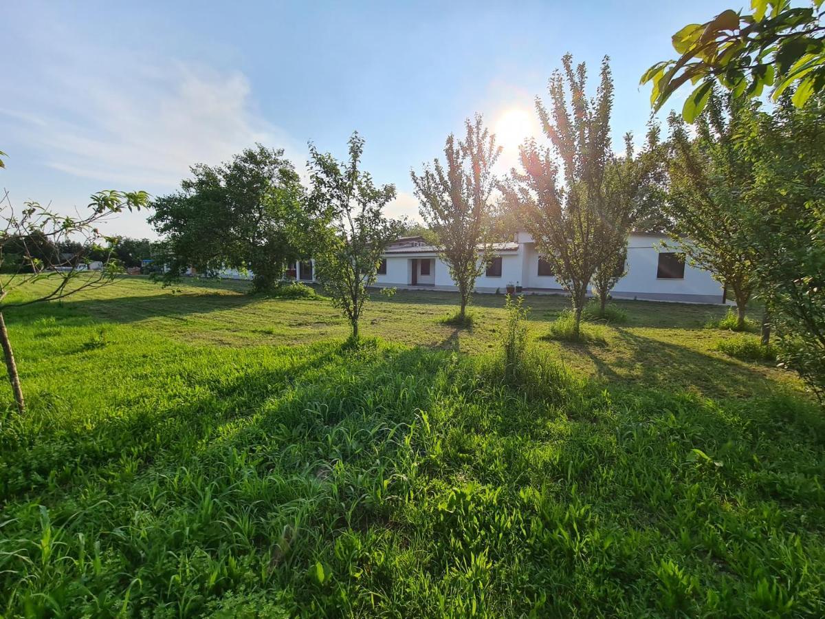 Agriturismo Ca Novak Venezia Spinea Kültér fotó